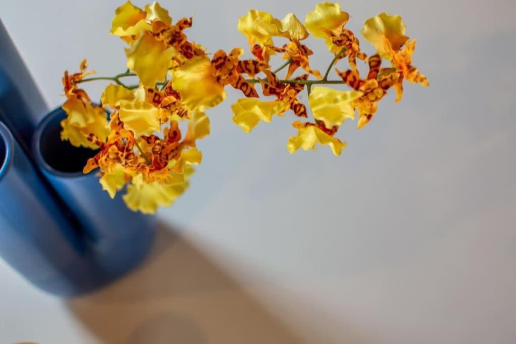 Mimosa- Loft Elegante Con Terrazza Nel Centro Di Siena Lejlighed Eksteriør billede